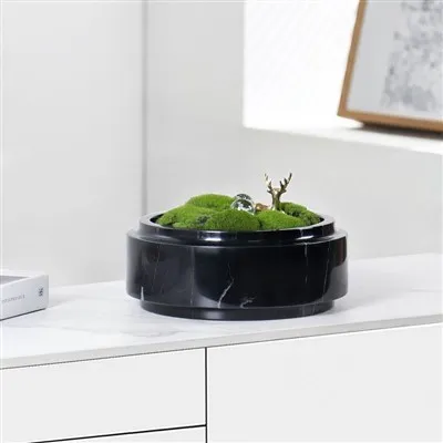 Mramorový květ rostlina