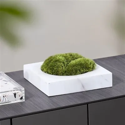 Mramorové hrnkové rostliny